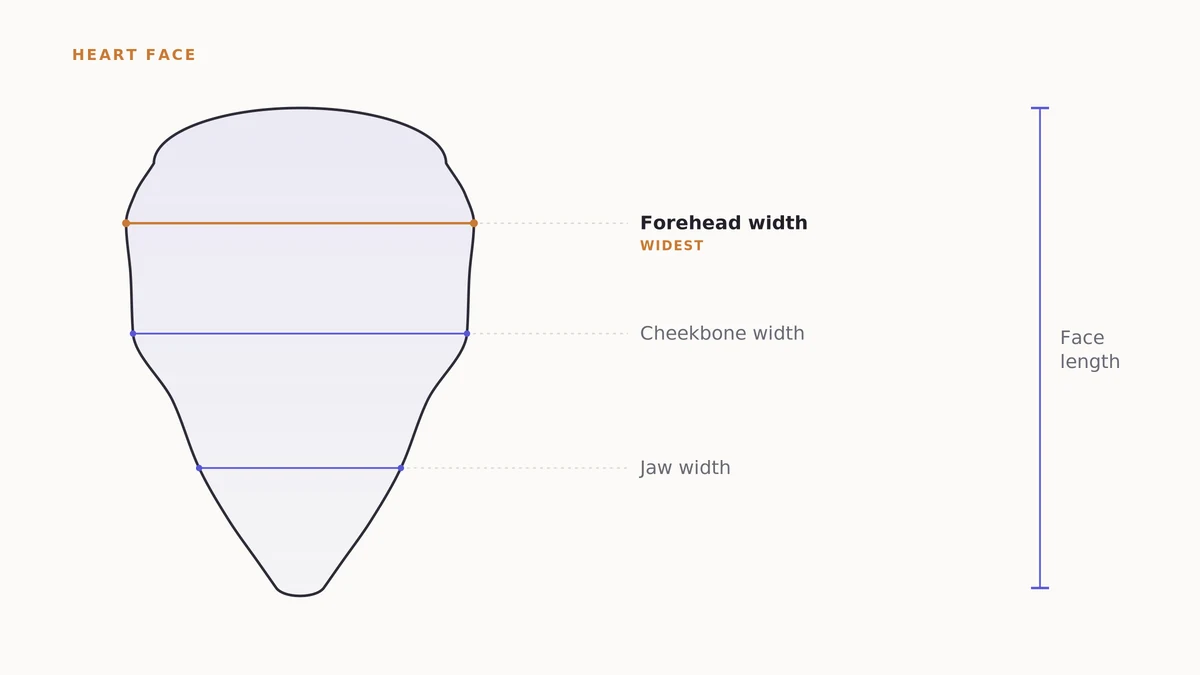 Diagram of a heart face shape with labeled forehead, cheekbone, jawline and face-length measurement lines