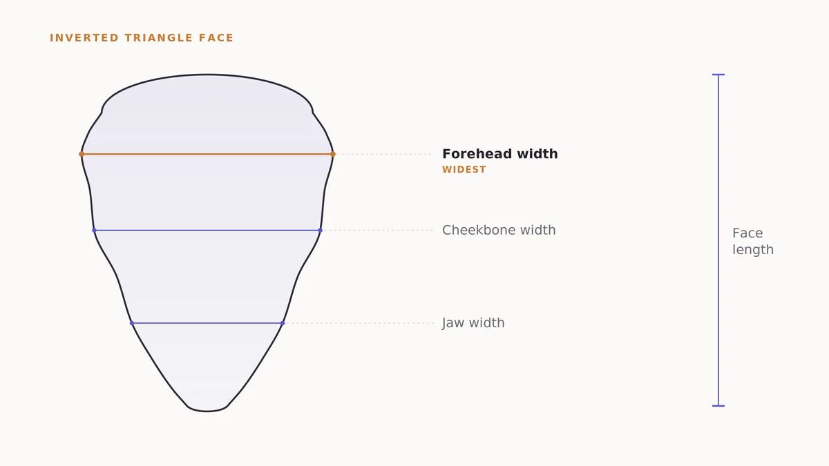 Diagram of an inverted triangle face shape with labeled forehead, cheekbone, jawline and face-length measurement lines