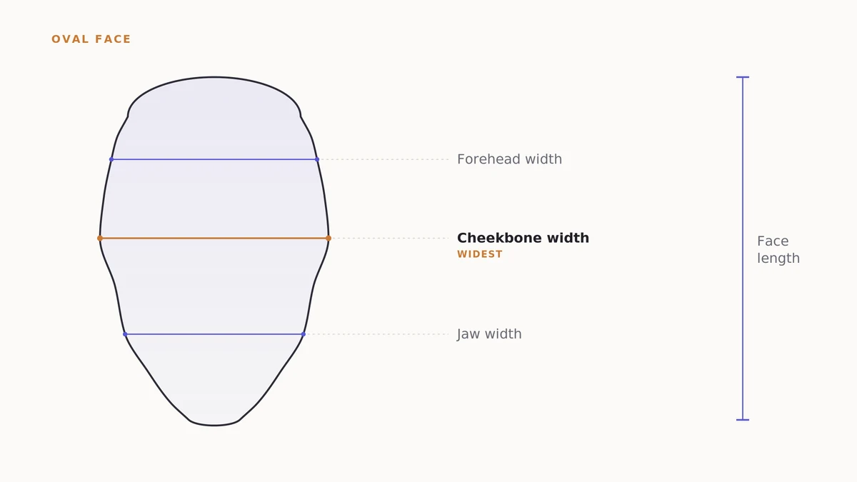 Diagram of an oval face shape with labeled forehead, cheekbone, jawline and face-length measurement lines