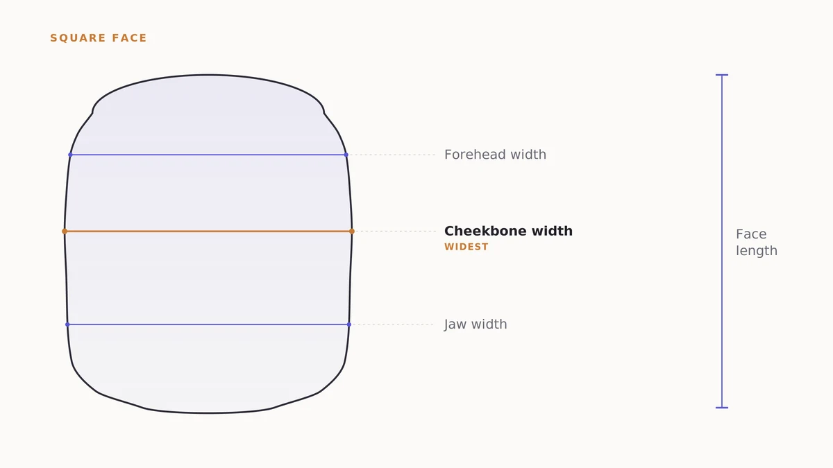 Diagram of a square face shape with labeled forehead, cheekbone, jawline and face-length measurement lines